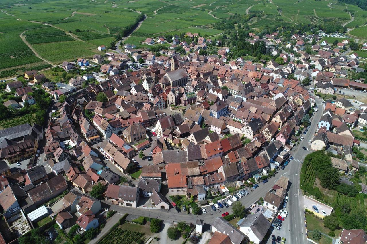 Gites Au Chateau Fleuri Eguisheim Kamer foto