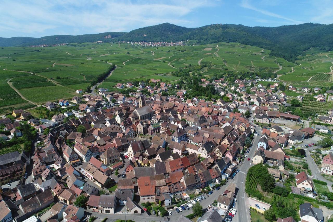 Gites Au Chateau Fleuri Eguisheim Kamer foto